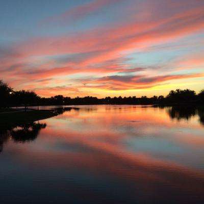 半岛·综合app下载